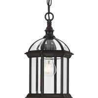 Progress Lighting 1 Light Antique Bronze with Clear Seeded Glass Hanging Light Fixture