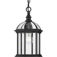 Progress Lighting 1 Light Black with Clear Seeded Glass Hanging Light Fixture