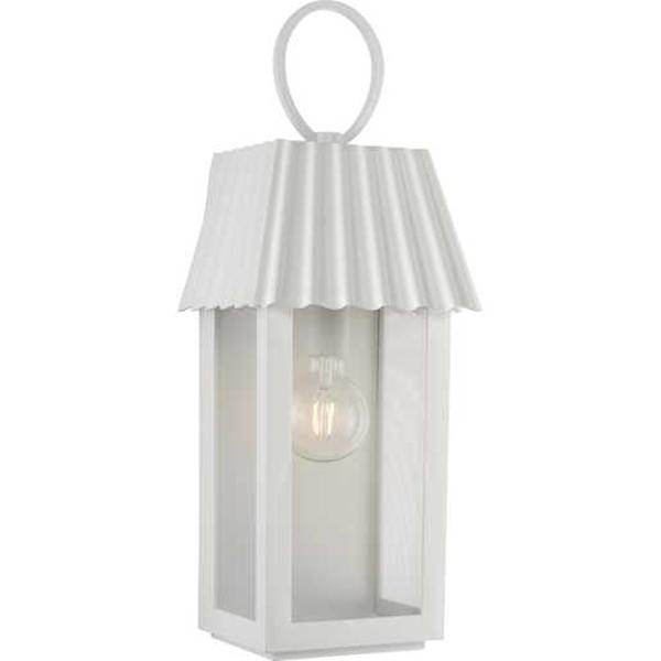 1 Light White with Clear with Silver Mesh Print Glass Outdoor Large Point Dume-Hook Pond Wall Light Fixture
