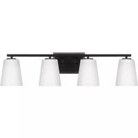 Progress Lighting 4 Light 120 volt Matte Black Vanity Etched Glass Light Fixture