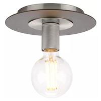 Progress Lighting 1 Light Brushed Nickel Finish Graphite Accents Ceiling Light Fixture