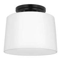 Progress Lighting 1 Light 120 volt Matte Black Frosted Glass Bowl Ceiling Light Fixture