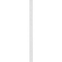 Progress Lighting White Plaster Two 6-inch and One 12-inch Stem Extension Kit
