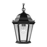 Progress Lighting 1 Light Black with Clear Beveled Glass Hanging Light Fixture