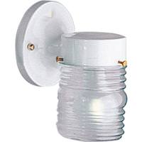 Progress Lighting 1 Light White with Clear Glass Shade Wall Light Fixture