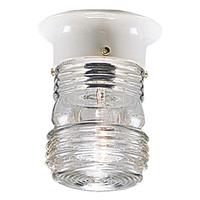 Progress Lighting 1 Light White Finish Clear Marine Glass Utility Lantern Light Fixture