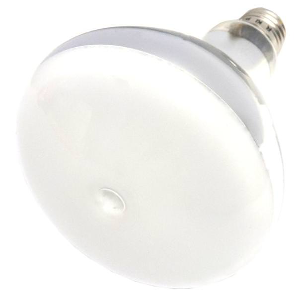 70 watt R40 Medium Screw Base 4000K Cool White Coated Flood Metal Halide