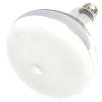 Plusrite 70 watt R40 Medium Screw Base 4000K Cool White Coated Flood Metal Halide