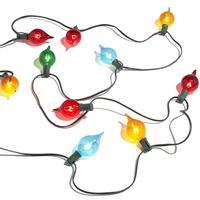 RAZ Imports 15 Light 14' Multicolor Shiny Kismet LED Light String