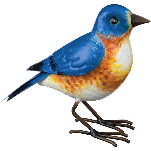 Small Bluebird
