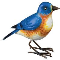 View Small Bluebird