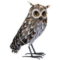 Regal Art & Gift 14.5" Grey Horned Owl Decor