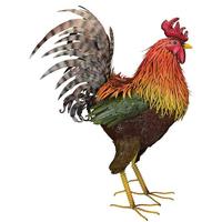 Regal Art & Gift 48.75" Napa Rooster Decor
