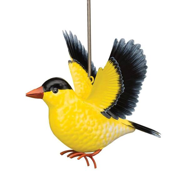 Gold Finch Bouncie