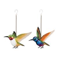 Regal Art & Gift Coronet/Ruby Hummingbird Bouncie (2 Pack)