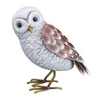 Regal Art & Gift 8" Small Barn Owl Figurine