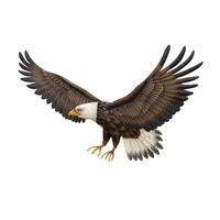View 25" Eagle Wall Décor