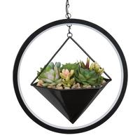 Regal Art & Gift Hexagon Lumen Artificial Succulent Solar Lantern