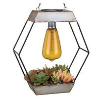 Regal Art & Gift Diamond Edison Artificial Succulent Solar Lantern