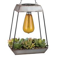 Regal Art & Gift Pyramid Edison Artificial Succulent Solar Lantern