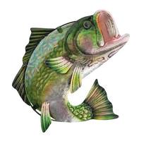 View 11.25" Largemouth Bass Fish Wall Décor