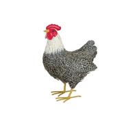 Regal Art & Gift 12.5" Murray Hen Decor 