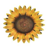 Regal Art & Gift 13.5" Yellow Solar Sunflower Wall Décor