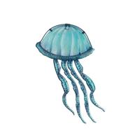 Regal Art & Gift 8" Sea blue Jellyfish Wall Decor