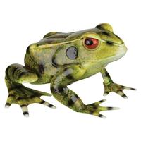 Regal Art & Gift 13" Green Metal Frog Décor 
