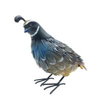 View 11.25" Male Quail Decor 
