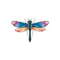 Regal Art & Gift 12" Spectra Dragonfly Wall Décor