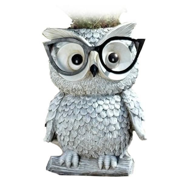 9.25" Owl with Glasses Roman Figurine