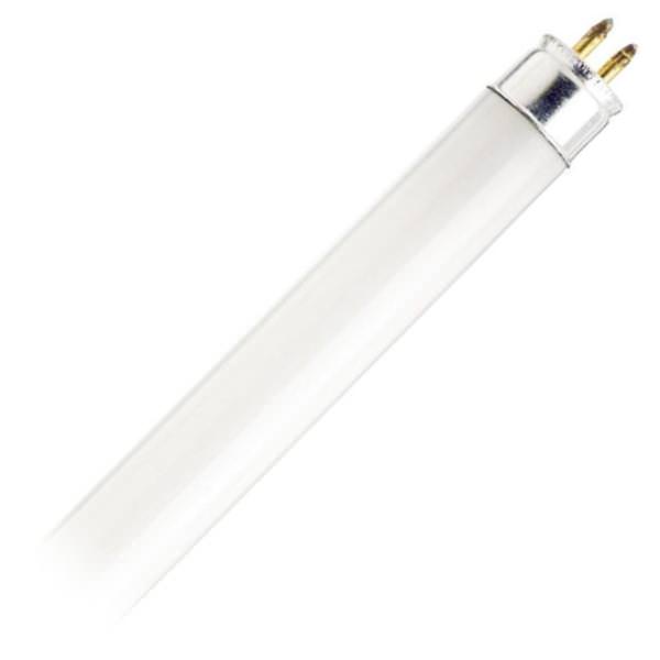 6 watt 9" T5 Miniature Bi-Pin Base 4000K Cool White Fluorescent