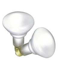 Satco 65 watt 120 volt BR30 Medium Screw Base 2700K Warm White Dimmable Flood (2 pack)