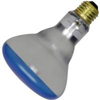 Satco 150 watt 120 volt R30 Medium Screw Base Dimmable Plant Flood
