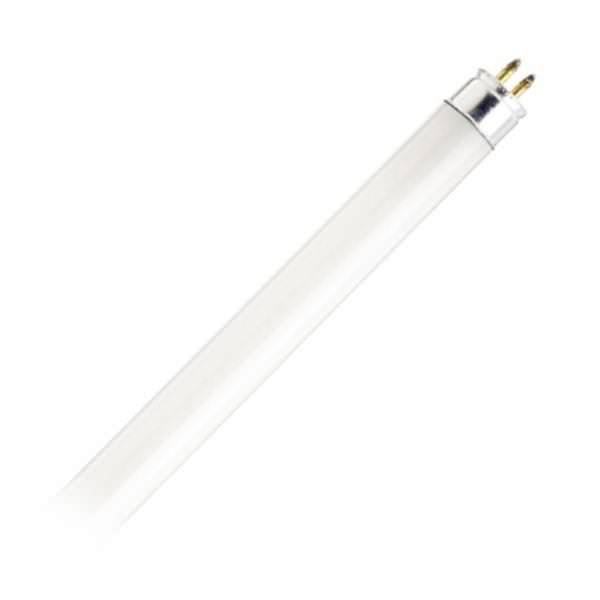 8 watt 12" T5 Miniature Bi-Pin Base Black Light