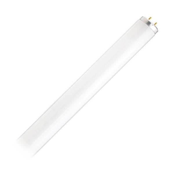14 watt 15" T12 Medium Bi-Pin Base 6500K Fluorescent Tube