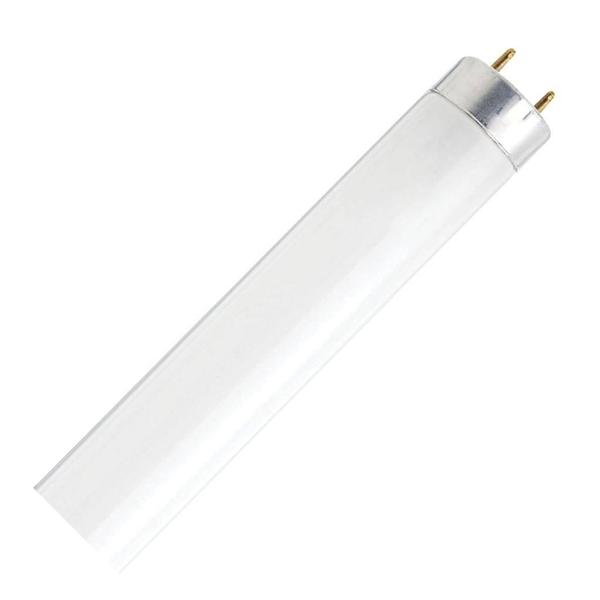 12" 13 watt T8 Medium Bi-Pin Base 4100K Cool White Fluorescent Light Bulb
