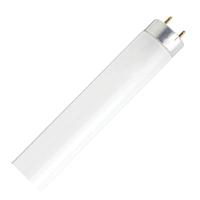 Satco 12" 13 watt T8 Medium Bi-Pin Base 4100K Cool White Fluorescent Light Bulb