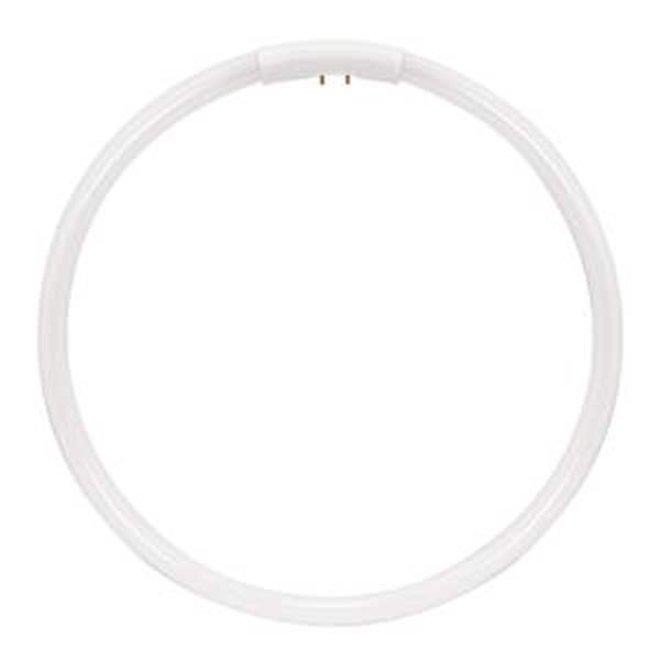 22 watt 9" T5 4-Pin Base 6500K Daylight