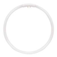 Satco 22 watt 9" T5 4-Pin Base 6500K Daylight