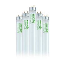 Satco 32 watt 48" T8 Medium Bi-Pin Base 4100K Cool White Fluorescent (6 Pack)