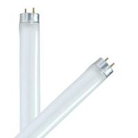 Satco 32 watt 48" T8 Medium Bi-Pin Base 4100K Cool White Fluorescent (2 pack)