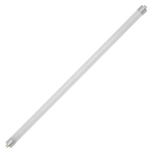 7 watt 120/277 volt 21" T5 Miniature Bi-Pin Base 6500K Daylight Non-Dimmable LED