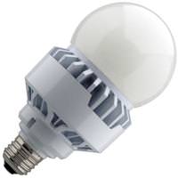 A25 LED Light Bulbs