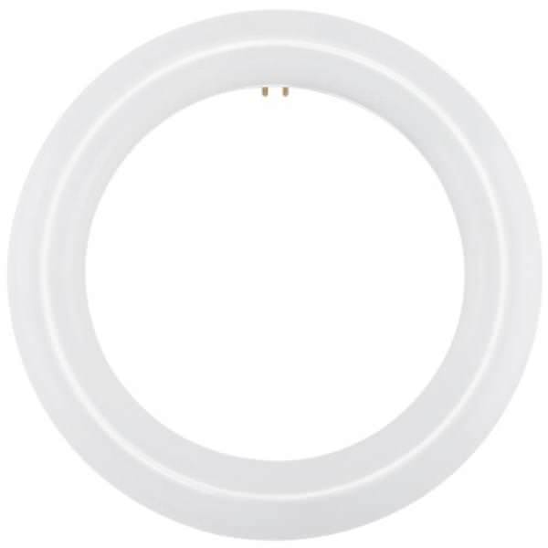 16 watt 120/277 volt 12" T9 4-Pin Base 6500K Non-Dimmable LED