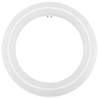 Satco 11 watt 120/277 volt 8" T9 4-Pin Base 6500K Non-Dimmable LED