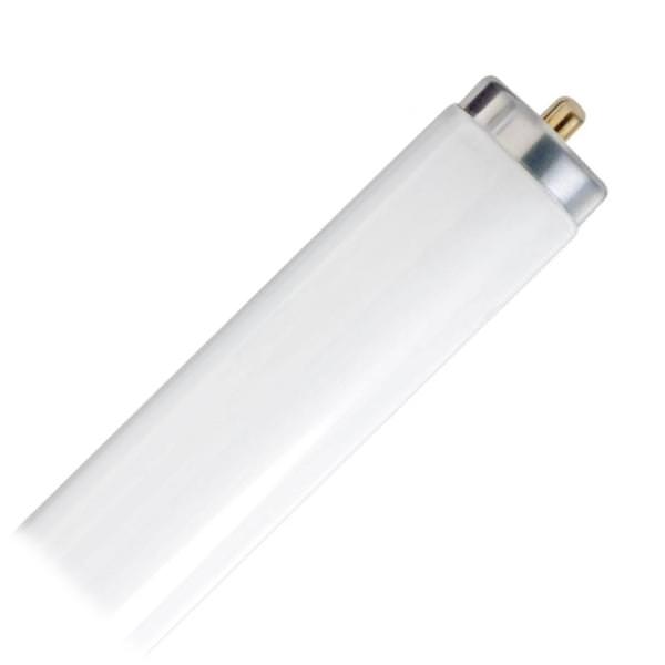 50 watt 60" T12 Single Pin Base 4200K Cool White