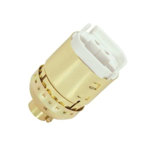 G24Q and Gx24Q-1 4 Pin Bright Gilt Lampholder