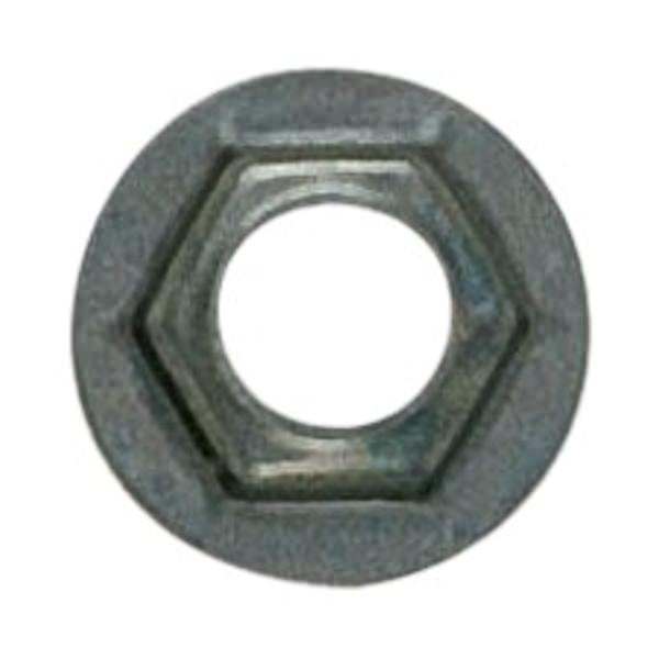 1/8 IP Steel Pal Nuts